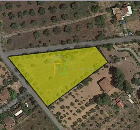 Parcel 4.850 sqm for sale, Rest Of Attica, Oropos