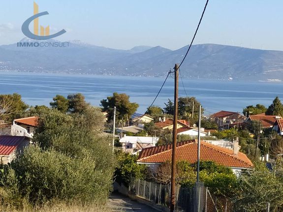Land plot 4.800 sqm for sale, Rest Of Attica, Kalamos