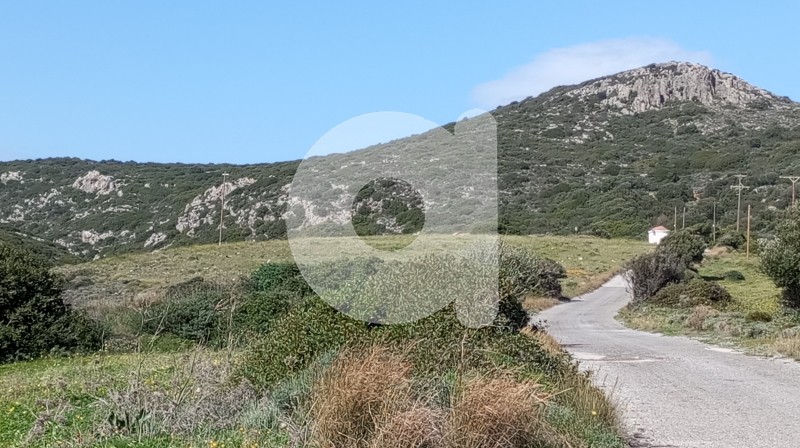 Οικόπεδο 10.000 τ.μ. πρός πώληση, Λακωνία, Κύθηρα