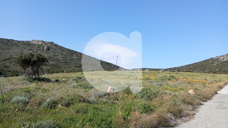 Οικόπεδο 10.000 τ.μ. πρός πώληση, Λακωνία, Κύθηρα