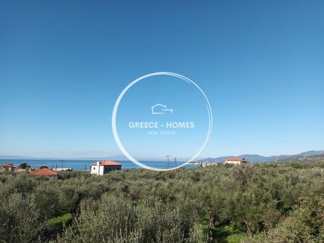 Οικόπεδο 4.059τ.μ. για πώληση-Λεύκτρος » Κοτρώνι
