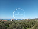 Οικόπεδο 4.059τ.μ. για πώληση-Λεύκτρος » Κοτρώνι