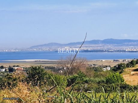 Οικόπεδο 7.800τ.μ. για πώληση-Θέρμη » Τρίλοφο