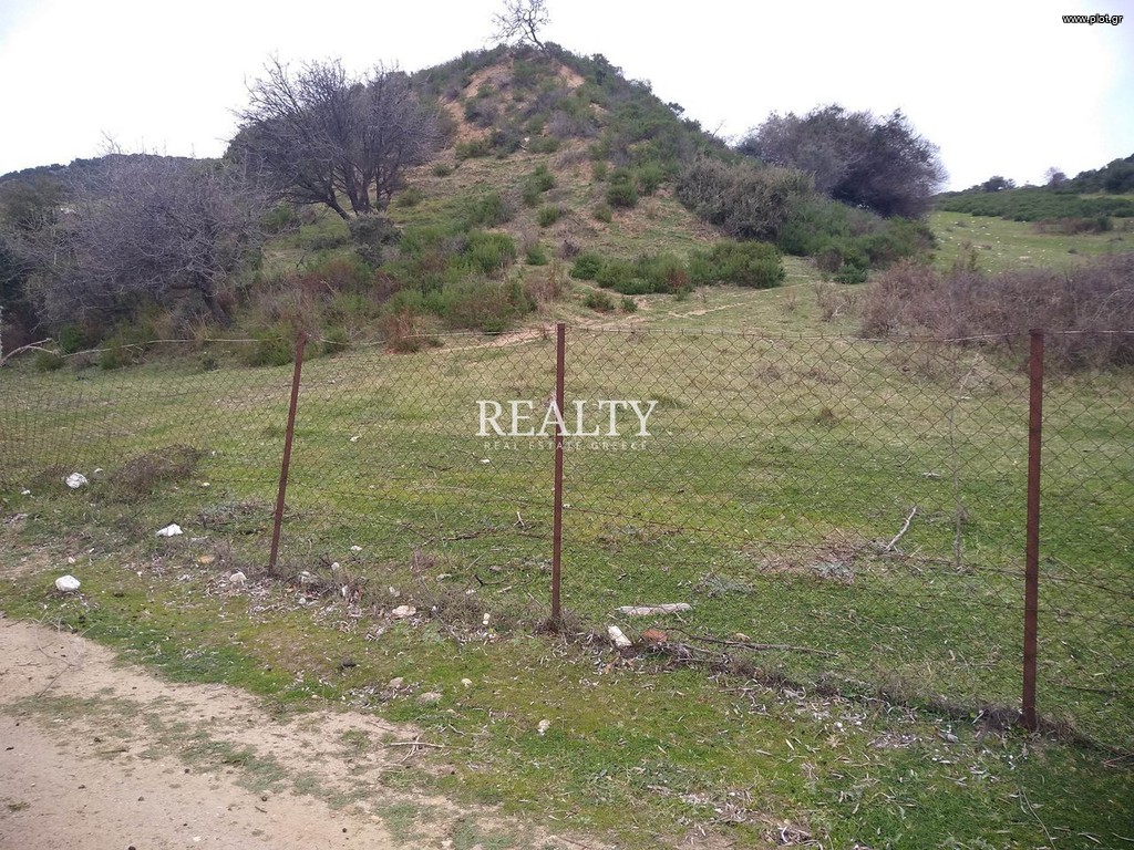 Οικόπεδο 32.000 τ.μ. προς πώληση, Ξηροπόταμο