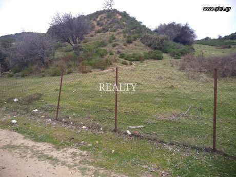 Οικόπεδο 32.000 τ.μ. προς πώληση