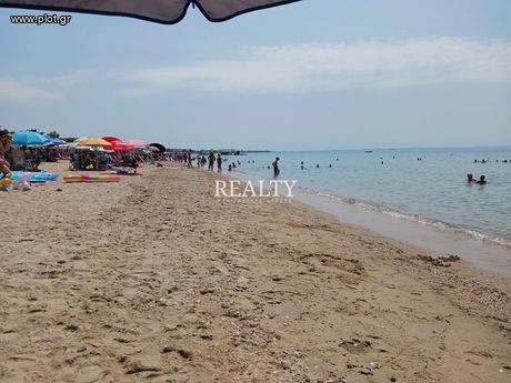 Ξενοδοχείο 35.000τ.μ. για πώληση-Αμφίπολη » Νέα κερδύλια