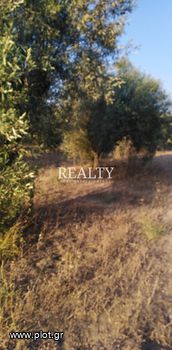 Land plot 4.000sqm for sale-Epanomi » Mesimeri