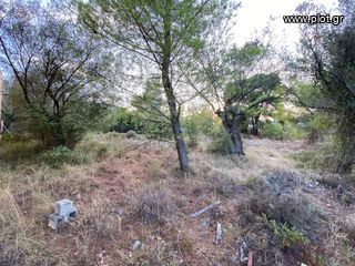 Οικόπεδο 420 τ.μ. για πώληση, Αργολίδα, Επίδαυρος-thumb-10