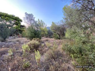 Οικόπεδο 420 τ.μ. για πώληση, Αργολίδα, Επίδαυρος-thumb-17