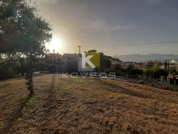 Οικόπεδο 11.500 τ.μ. για πώληση, Ν. Κέρκυρας, Κέρκυρα