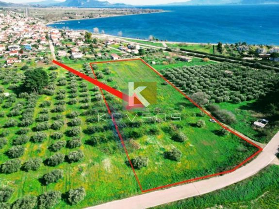 Land plot 33.000 sqm for sale, Phthiotis, Stilida