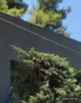 Office 320sqm for rent-Voula » Pigadakia