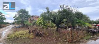 Οικόπεδο 312 τ.μ. για πώληση, Αχαΐα, Μεσσατίδα-thumb-12