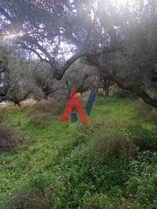 Οικόπεδο 604 τ.μ. για πώληση, Αχαΐα, Διακοπτό