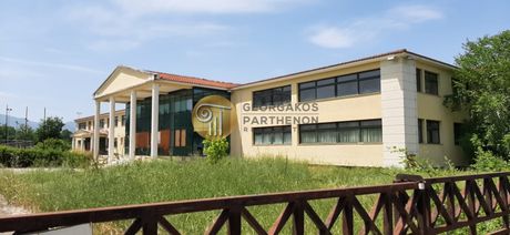 Business bulding 8.739sqm for sale-Mitropoli » Georgiko