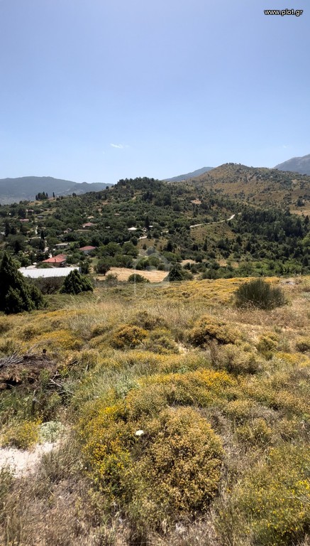 Οικόπεδο 4.955 τ.μ. προς πώληση, Σοφιανά