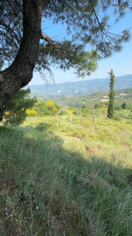 Οικόπεδο 4.955 τ.μ. προς πώληση, Σοφιανά