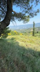 Οικόπεδο 4.955 τ.μ. για πώληση, Κορινθία, Ξυλόκαστρο-thumb-4