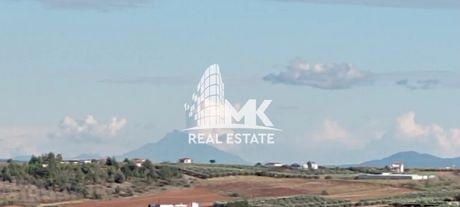 Μονοκατοικία 240 τ.μ. για πώληση