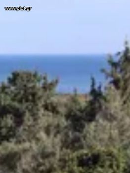 Οικόπεδο 16.500 τ.μ. για πώληση