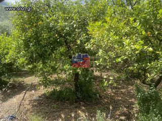 Οικόπεδο 340 τ.μ. για πώληση
