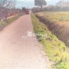 Parcel 10.000sqm for sale-Pirgos » Agia Marina