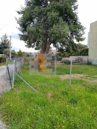 Land plot 230 sqm for sale, Athens - East, Paiania