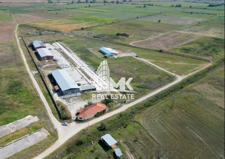 Βιομηχανικός χώρος 2.440τ.μ. για πώληση-Πικρολίμνη » Μπακαίικα
