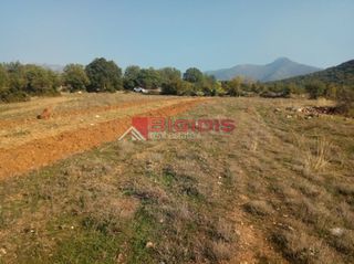 Αγροτεμάχια 9.500 τ.μ. για πώληση, Ν. Σερρών, Άγκιστρο-thumb-3