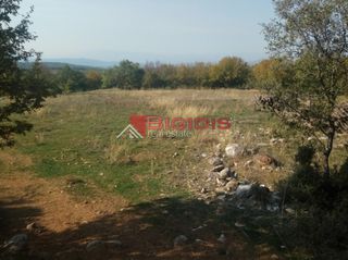 Αγροτεμάχια 9.500 τ.μ. για πώληση, Ν. Σερρών, Άγκιστρο-thumb-6