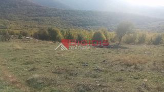 Αγροτεμάχια 9.500 τ.μ. για πώληση, Ν. Σερρών, Άγκιστρο-thumb-4