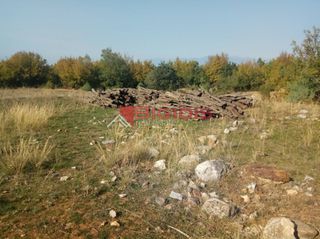 Αγροτεμάχια 9.500 τ.μ. για πώληση, Ν. Σερρών, Άγκιστρο-thumb-1