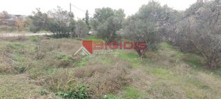 Οικόπεδο 800 τ.μ. για πώληση, Ν. Σερρών, Λευκώνας-thumb-2
