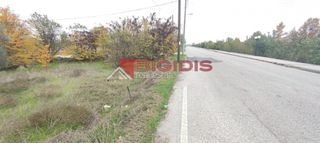 Οικόπεδο 800 τ.μ. για πώληση, Ν. Σερρών, Λευκώνας-thumb-4