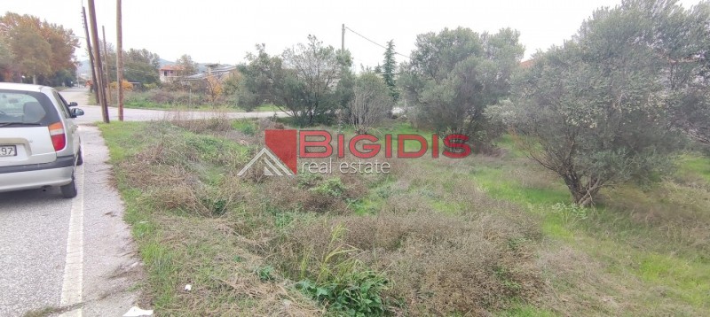 Οικόπεδο 800 τ.μ. προς πώληση, Κέντρο Λευκώνα