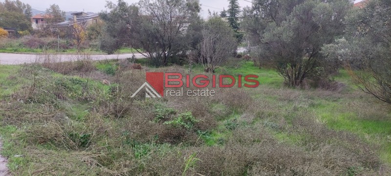 Οικόπεδο 800 τ.μ. για πώληση, Ν. Σερρών, Λευκώνας