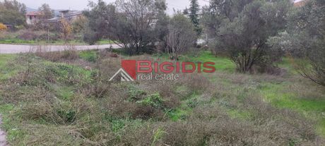 Οικόπεδο 800 τ.μ. για πώληση