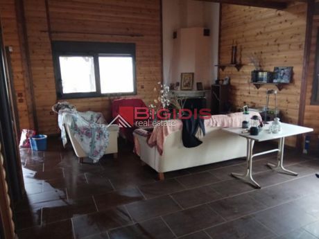 Villa 150sqm for sale-Skotoussa » Melenikitsi
