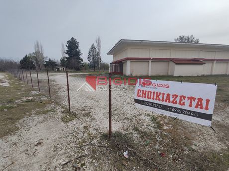 Business bulding 450 sqm for rent