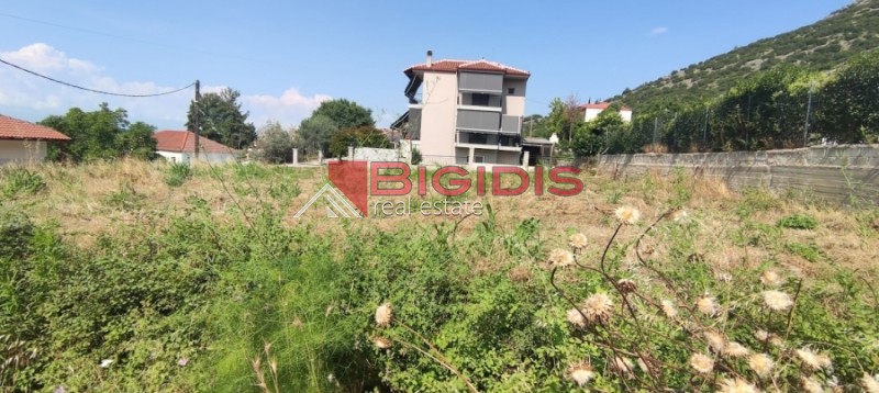 Οικόπεδο 303 τ.μ. προς πώληση, Επτάμυλοι