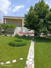 Κτίριο 270 τ.μ. για πώληση, Ν. Σερρών, Πετρίτσι-thumb-16
