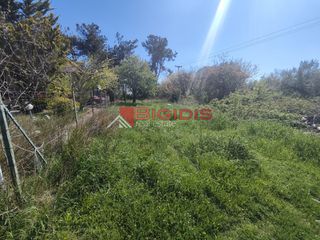 Οικόπεδο 630 τ.μ. για πώληση, Ν. Σερρών, Αμφίπολη-thumb-2