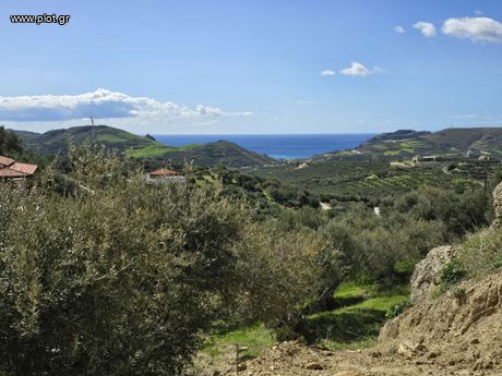Αγροτεμάχια 1.011τ.μ. για πώληση-Φοινίκας » Μαριού