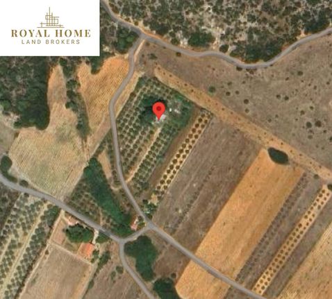 Land plot 11.300 sqm for sale, Rest Of Attica, Markopoulo
