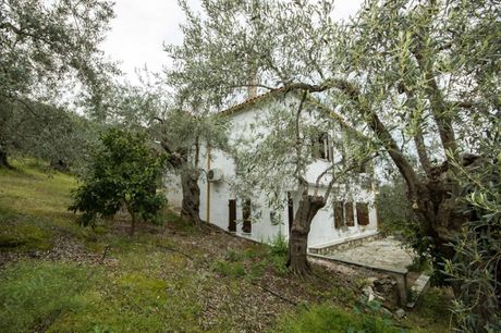 Detached home 150sqm for sale-Sourpi » Nies
