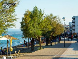 Οικόπεδο 1.217 τ.μ. για ενοικίαση, Εύβοια, Χαλκίδα-thumb-3