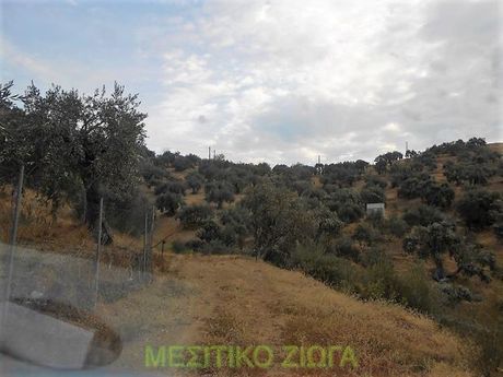 Parcel 6.000sqm for sale-Nea Ionia Volou » Melissatika