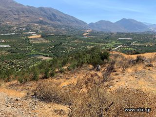 Οικόπεδο 10.500 τ.μ. για πώληση