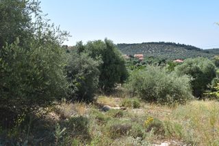Οικόπεδο 950 τ.μ. για πώληση, Ν. Καβάλας, Θάσος-thumb-2