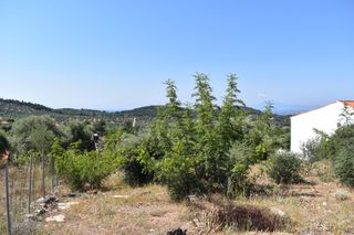 Οικόπεδο 950 τ.μ. για πώληση, Ν. Καβάλας, Θάσος-thumb-1